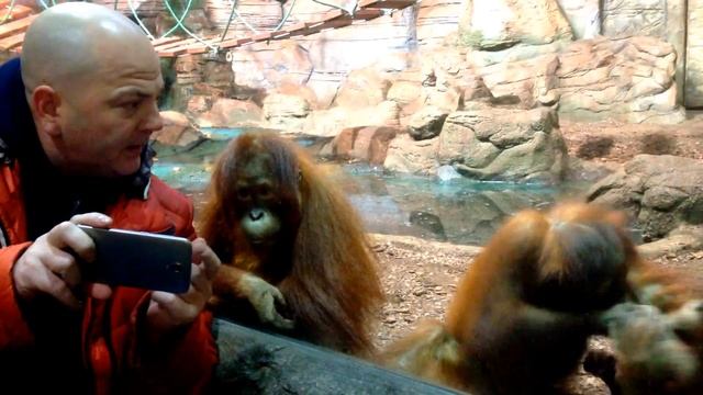 Курсы подводной охоты с аквалангом