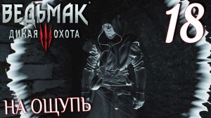 Ведьмак 3: Дикая охота. Прохождение ─ Часть 18: На ощупь