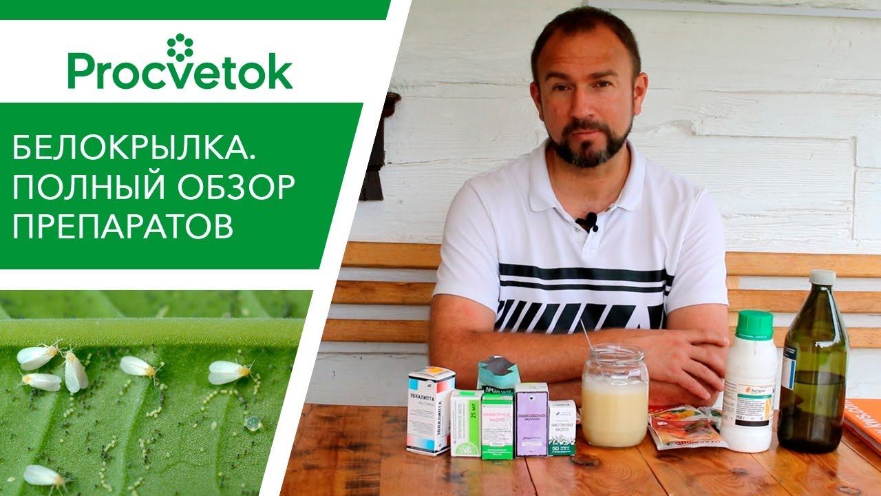 Безопасное средство от вредителей! СКИПИДАР от белокрылки, морковной и луковой мухи, тлей, гусениц. смотреть онлайн