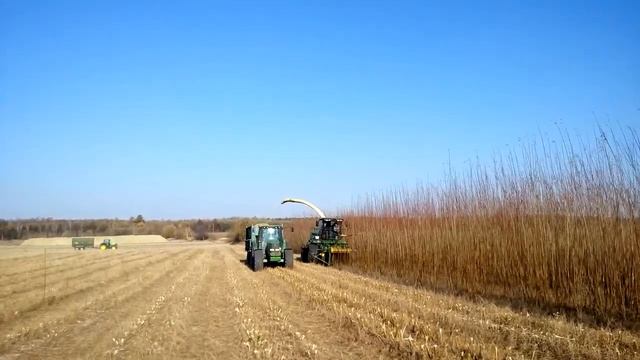 Salix Energy harvesting plantations, как собирают урожай энергетической вербы смотреть онлайн