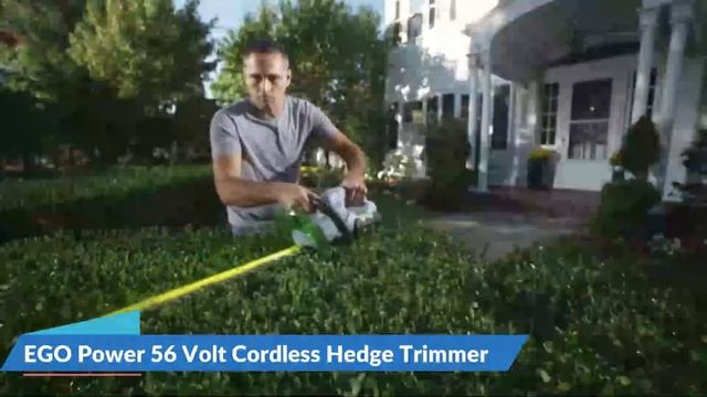 Best Cordless Hedge Trimmer 2022 ? Top 5 Cordless Hedge Trimmer Reviews смотреть онлайн
