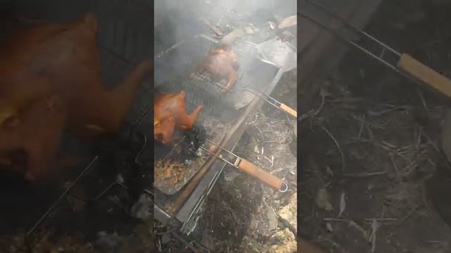 Коптим курицу в бочке на карантине смотреть онлайн