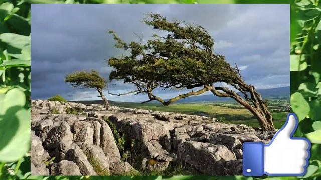 ХОЗИР ЕЛОН КИЛИНДИ.УЗБ-ДА ТЕЗ КУРИНГ смотреть онлайн