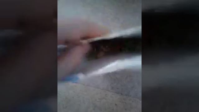 Мой хомяк смотреть онлайн