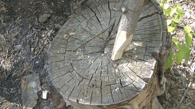 Топор ВОРОН ?Тест туристического топора в лесу смотреть онлайн