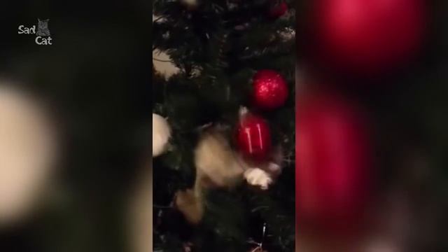 Cats Love Christmas Trees Compilation NEW смотреть онлайн