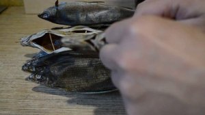 ВЯЛЕНЫЙ ХАРИУС!