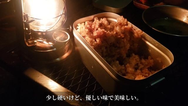 【NBOX 車中泊】軽自動車で至福の車中泊キャンプ 春の訪れを告げる 癒しを求めて一人車中泊