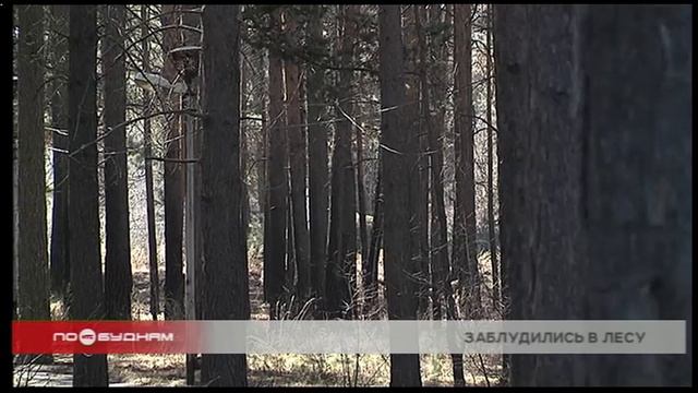 Более 30 случаев пропажи людей в лесах зарегистрировано в Иркутской области за лето смотреть онлайн