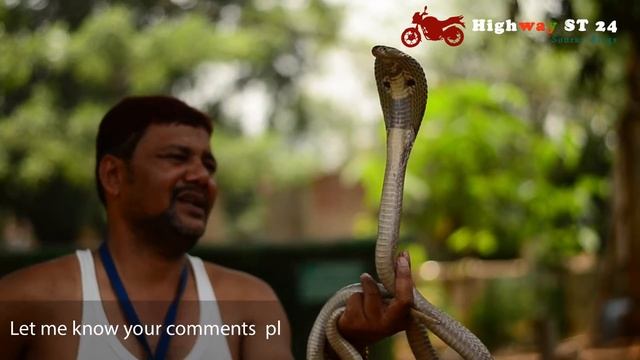 Mython & Panchate Dam Snake | Cobra, Python etc snake charmer . смотреть онлайн