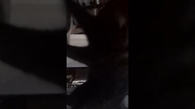 Когда нет дома интернета смотреть онлайн
