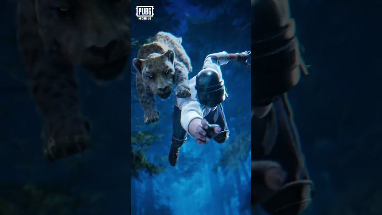 Не теряй время! Успей найти своего питомца! смотреть онлайн