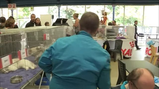 Animal Expo, les coulisses du salon смотреть онлайн