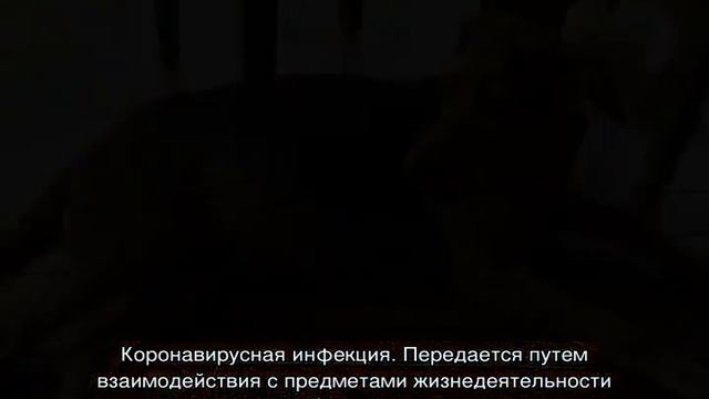 Рвота с кровью у собаки: причины тошноты