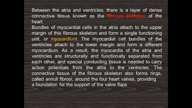 CVS Lect 1 смотреть онлайн
