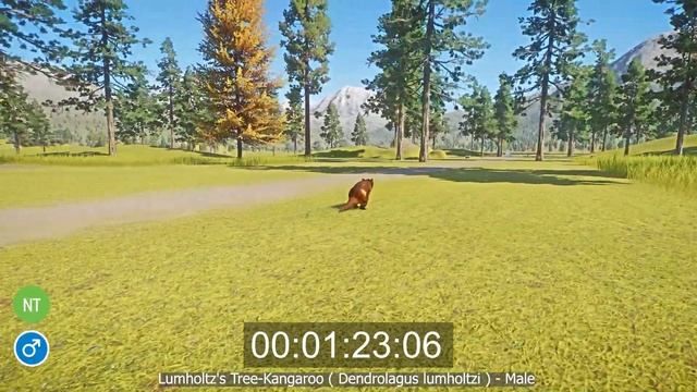 New Species Animals Speed Races in Planet Zoo included Gallimimus, Gelada Baboon, Tree-Kangaroo смотреть онлайн