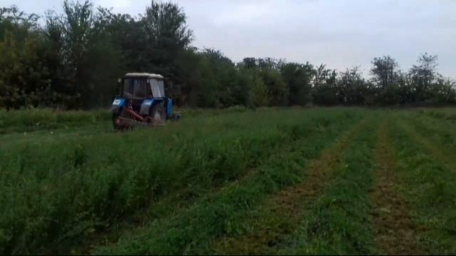 Мтз 82.1 с турецкой косилкой- Сенокос 2018 смотреть онлайн