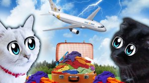 Что Произошло 5 сентября? Почему кошкам никто НЕ ВЕРИТ?!