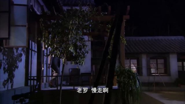 【FULL】灰姑娘差点被车夫强奸，没想到救她的竟是她刚满月的儿子！#chinesedrama