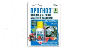 Защита от мучнистой росы Прогноз (Грин Бэлт), 10мл. обзор 01-682