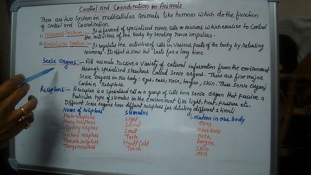 Control and Coordination in Animals смотреть онлайн