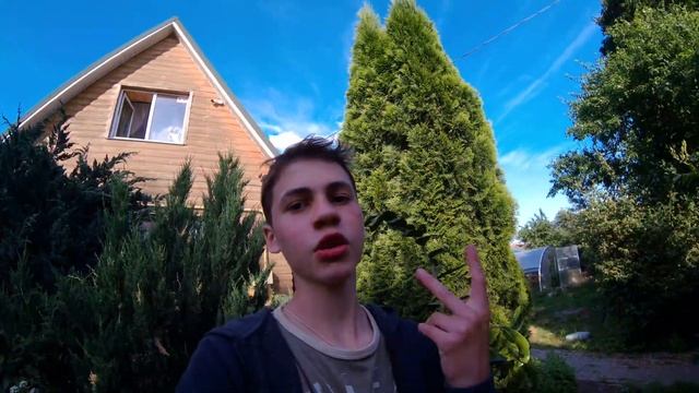 Замиокулькас - размножение, уход, пересадка и грунт для Долларового Дерева