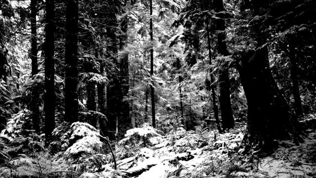 BLACK METAL SPECIAL __ MOLOTOV BAT RADIO __ 7hrs of Black Metal смотреть онлайн