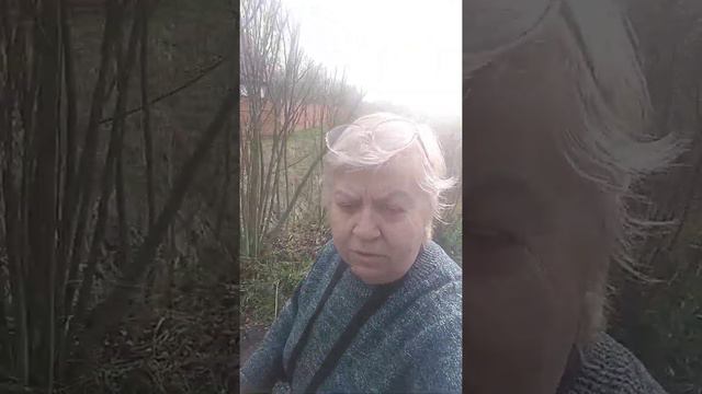 Утро - для удовольствия, вечер-Бизнесу! смотреть онлайн