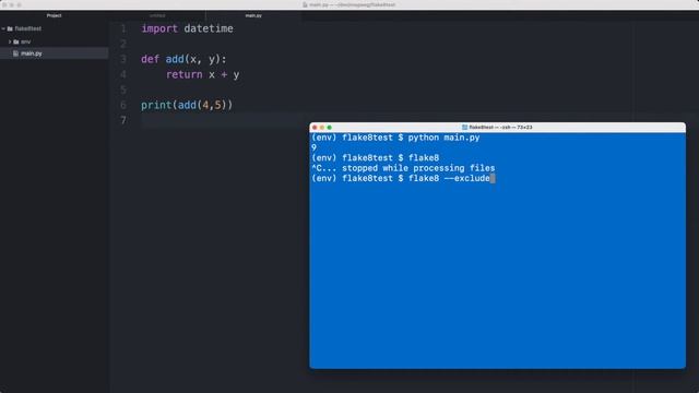 How to run FLAKE8 from the COMMAND LINE смотреть онлайн
