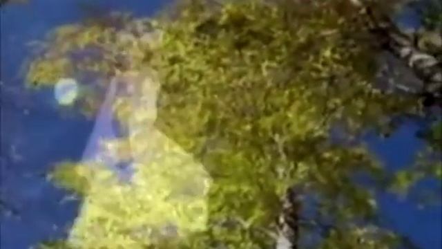 Ирина Шведова-Белый танец (Афганский вальс) смотреть онлайн