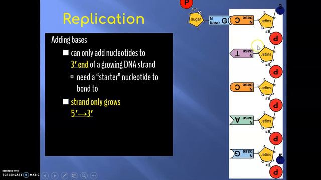 DNA Pt 2 смотреть онлайн