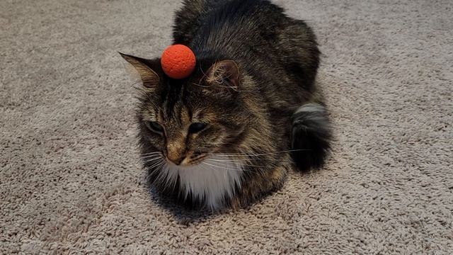 ball смотреть онлайн