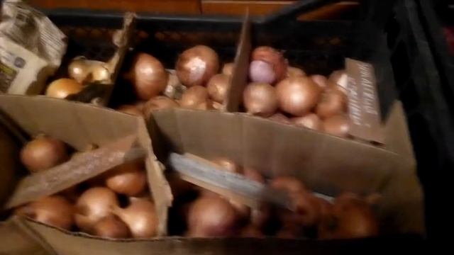 обзор лука шалот из садов россии смотреть онлайн