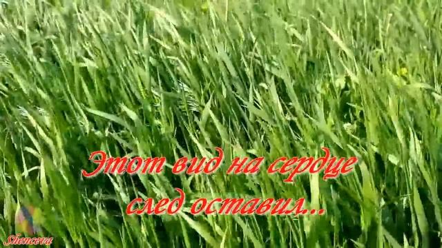 Лето...✦ - Великолепная инструментальная мелодия - Игорь Двуреченский смотреть онлайн