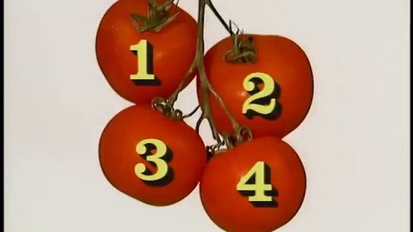 Brainy Baby left Brain 🧠👈