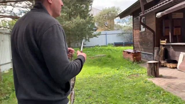 Скумбрия Горячего Копчения на Ольхе - НЕ ВСЕ ГЛАДКО смотреть онлайн