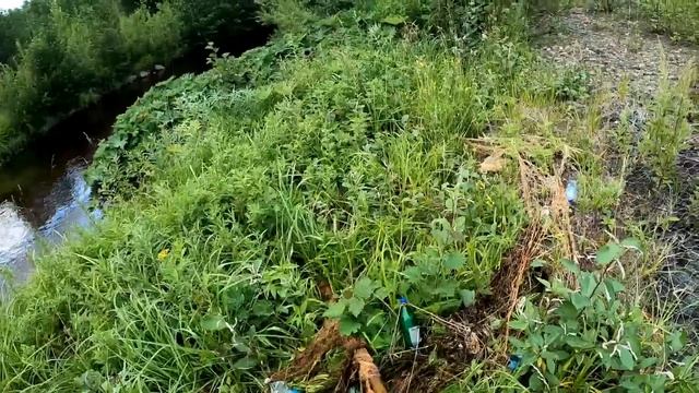 "Частная река"/Загородка на притоке Плерярна смотреть онлайн