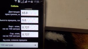 Баллистика 22 LR