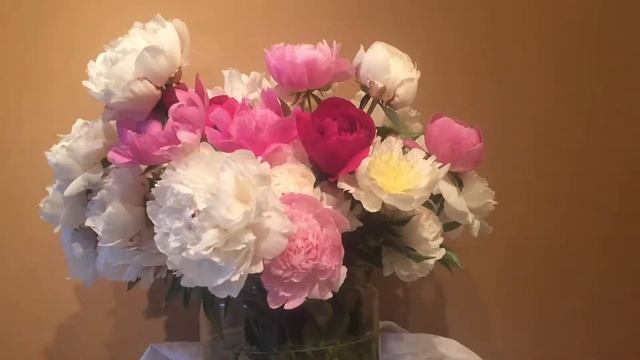 Blooming Peonies from Alaska смотреть онлайн