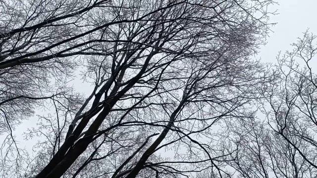 Кумысная поляна Саратов, 21 ноября 2022 смотреть онлайн