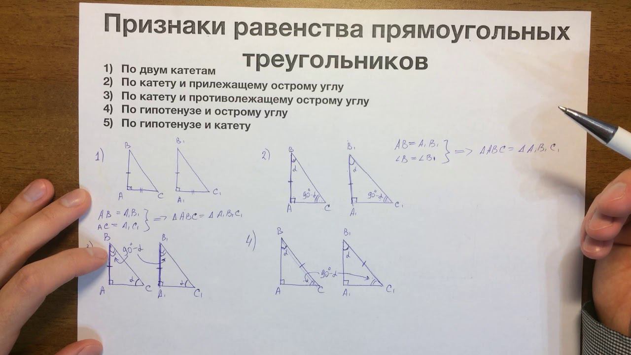 Признаки равенства прямоугольных треугольников #11
