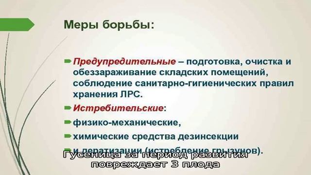 Нужно знать почему яблоня сбрасывает яблоки, чтобы понять что делать смотреть онлайн