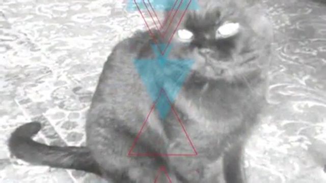 наш обожаемый Ричи | Magisto смотреть онлайн