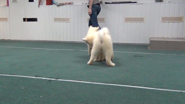 The first training!!! смотреть онлайн