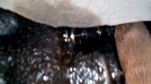 Вытекло масло из коробки.Замена датчика заднего хода ВАЗ 2114