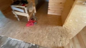 Какое сделать подключение на стальном панельном радиаторе с боковым подключением?Низ-низ?Диагоналку