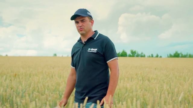 Фунгицидная защита зерновых культур вместе с BASF – Мастер рекомендаций для Приволжского региона смотреть онлайн