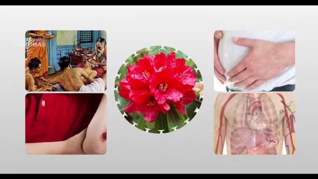 Burans Juice "पहाड़ी बुरांस जूस " 100% PURE AND ORGANIC for order in delhi plz contact on 955562277 смотреть онлайн