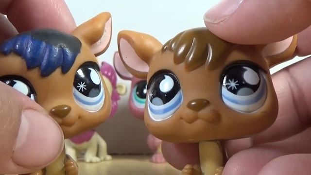 LPS Jungle Collection смотреть онлайн
