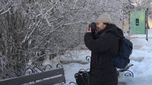 Обзор объектива Canon EF 40mm f 2.8 STM. Блинчик (фикс за 12000 р.)